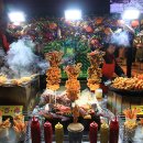 장미포차 이미지