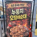 오징어랑해물이랑 | 속초 누룽지 오징어순대 해안길 해물 삼합 솔직 후기