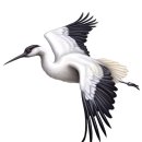 담음의 미학 이미지