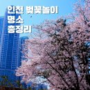 벚꽃로-2 이미지