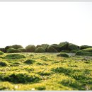 보성바다스토리리조트 이미지