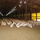 세지농장 이미지