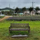 제천시 의림지동 행정복지센터 | 제천비행장 혹은 모산비행장 - 충북 제천 명소 BTS 화양연화 뮤직비디오 촬영지