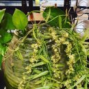 신원로1 이미지