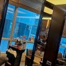 씨유 은평뉴타운2지구점 | 댕댕이와 드라이브? 은평구에서 나만의 스타일 찾기 대작전!