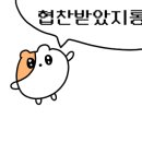 돈모닝정육식당