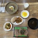 청수옥 | [인천 맛집] 구월동 청수옥 판모밀, 물냉면, 수육 내돈내산 후기