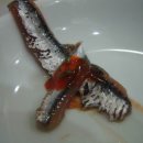 통영상회 이미지