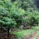 태환농장 이미지