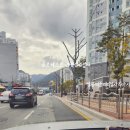 금조공인중개사사무소 이미지