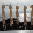 공천포 포구 이미지