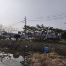 금풍마트 네이버블로그