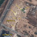 한중우호의숲 이미지