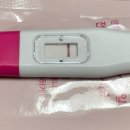 서초대로27길 54 이미지