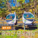 제3회 보은 예술제 | 충북 보은 속리산 테마파크 모노레일 예약 할인 카페 후기