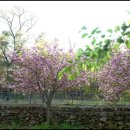 버들농원 이미지