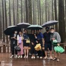 트래블 서치 이미지