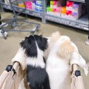 4층가까운약국 이미지