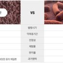 비결핵성 질환 원인 및 증상 (비결핵성항상균) 이미지