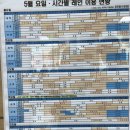 마산종합운동장 실내수영장 | [안양자유수영] 안양종합운동장 실내수영장, 토요일 자유수영 후기(이용시간, 편의시설, 장단점 정리)