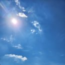 피플앤독 이미지