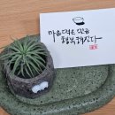 탄소중립의 이해/ 친환경 리사이클링 화분만들기 | 경기광주 성남 발포세라믹 자격증, 도우아트지도사 과정이 필요한 이유와 출강 확장을 위한 설계
