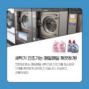 크린토피아신정 이미지