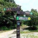 가야유원지 등산로 네이버블로그