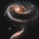 일하는곰아저씨 이미지