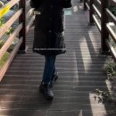 1357 | 나이키_페가수스 41 고어텍스 방수 워터프루프 런닝화 블랙 FQ1357-001 구입후기