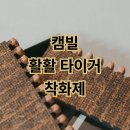 활활 | 캠빌 활활 타이거 사용후기 파이어 라이어스 케이스 호환