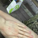 Kyo야 콘서트 후기는 썼니
