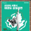 현대태권도 | 2025 서울시 태권도 상설공연, 아이들과 함께 다녀온 특별한 하루 후기~!