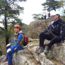 장산사 Daum카페