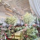 동수원세무서 3층 | 수원 더아리엘:: 웨딩홀 투어후기 (밝은 단독홀) | 27년 견적공유