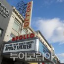 할렘