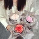 플로라시우 이미지