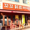 꼬꼬닭한마리 이미지
