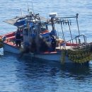 법환동-11 이미지