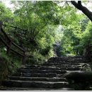 황포돗대 이미지