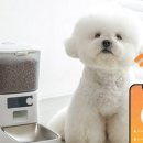 스마트 애견 이미지