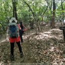 내곡동408 이미지