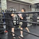 용인대SM복싱클럽 길동점 이미지