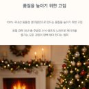 메종원스이어 - 강남구 | 메종원스이어