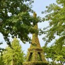 유림가족센터 | 대전 혼자 가볼만한곳 유성국화축제 2025 유림공원 주차장 위치