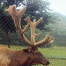 신곡목장 이미지