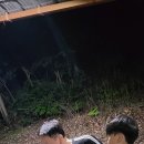 천곡목장 이미지