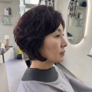 지선헤어라인