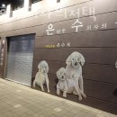 은퇴한 수의사의 저택 이미지