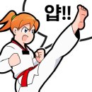 용인대미르태권도 이미지
